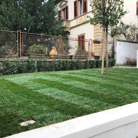 Installazione prato a rotoli provincia Arezzo Siena Caiani Vivai Garden