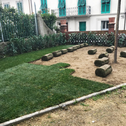 Installazione prato a rotoli Valdarno Valdambra Caiani Vivai Garden