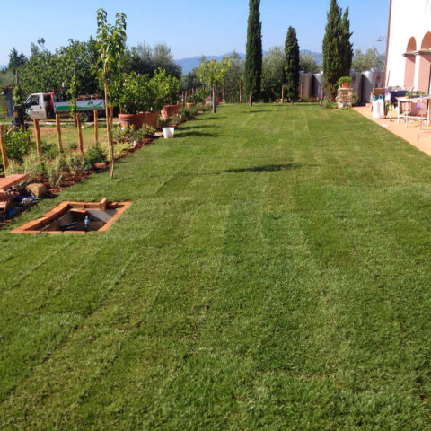Installazione tappeto erboso per agriturismi Valdarno Caiani Vivai Garden
