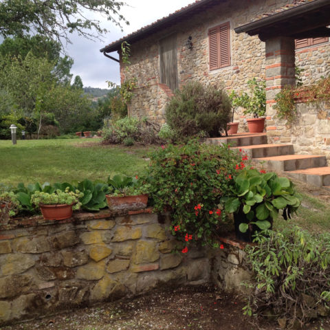 Manutenzione giardini rustici Valdambra Caiani Vivai Garden