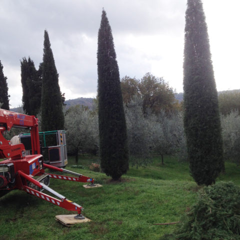 Potatura con piattaforma aerea Arezzo Caiani Vivai Garden