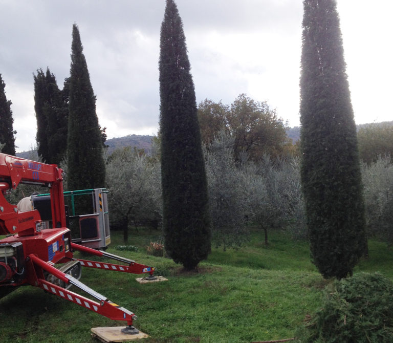 Potature con piattaforma aerea