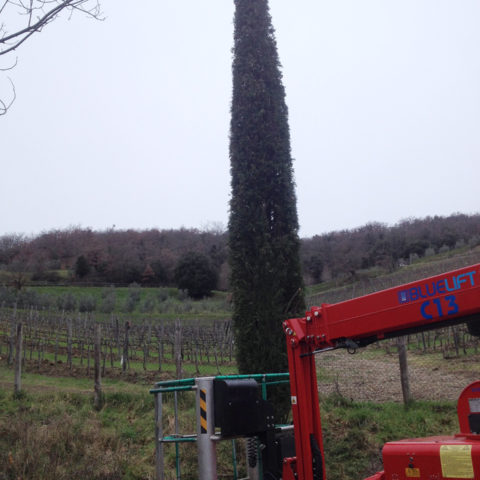 Potatura con piattaforma aerea Valdarno Caiani Vivai Garden