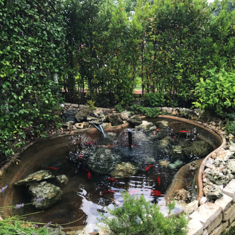 Realizzazione aree verdi con laghetto Valdarno Caiani Vivai Garden