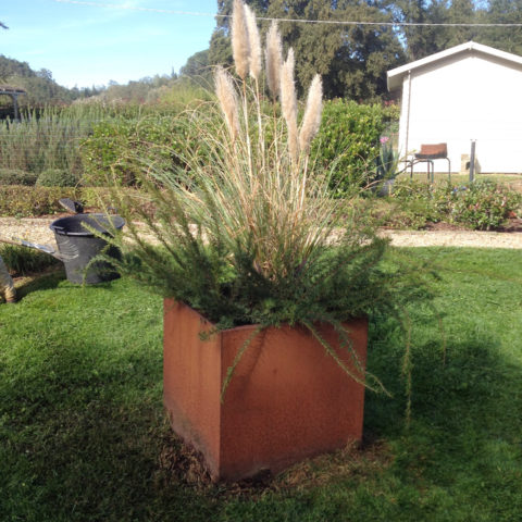 Realizzazione aree verdi con vasi corten provincia Arezzo Siena Caiani Vivai Garden