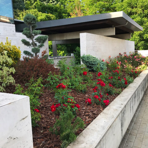 Realizzazione giardini design provincia Arezzo Caiani Vivai Garden