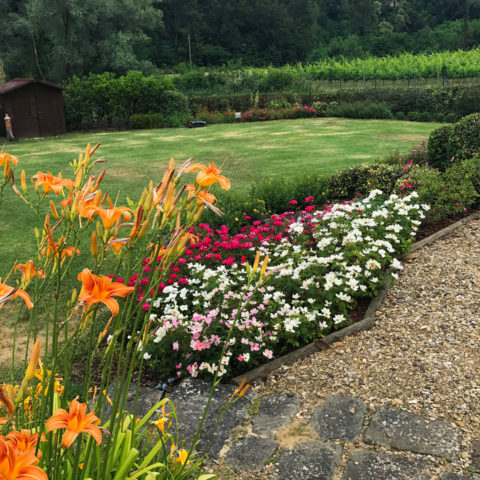 Realizzazione giardini e aiuole Valdarno Caiani Vivai Garden