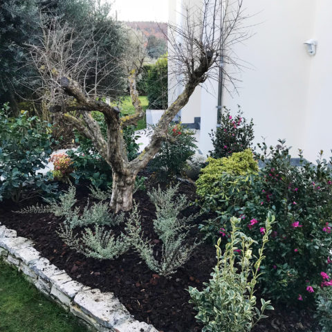 Realizzazione giardini e aiuole Arezzo vivai garden