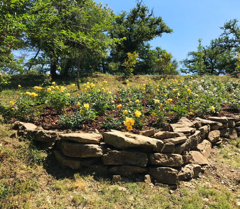 Giardini rocciosi e giardini rustici