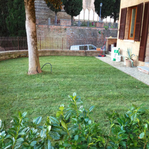 Realizzazione giardini Siena Caiani Vivai Garden
