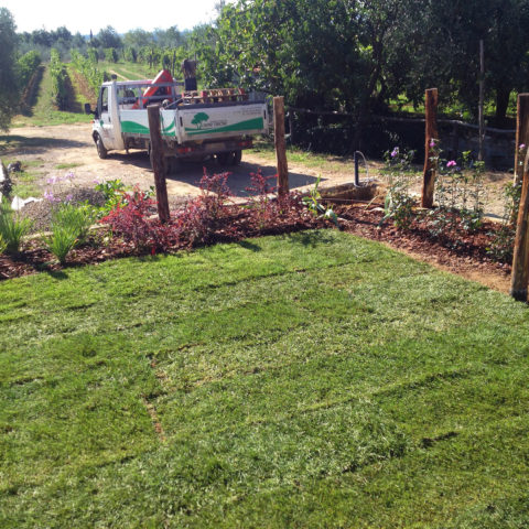 Realizzazione giardino tappeto erboso Valdarno Caiani Vivai Garden