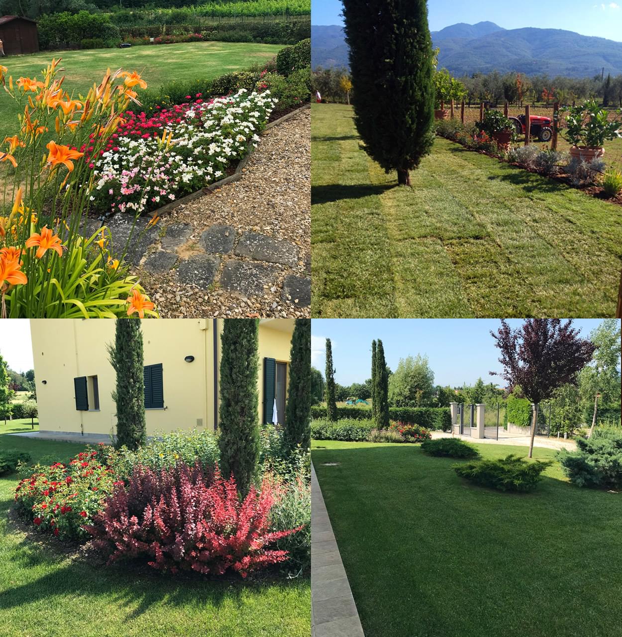 Azienda Agricola Caiani Simone, Bucine (Arezzo)