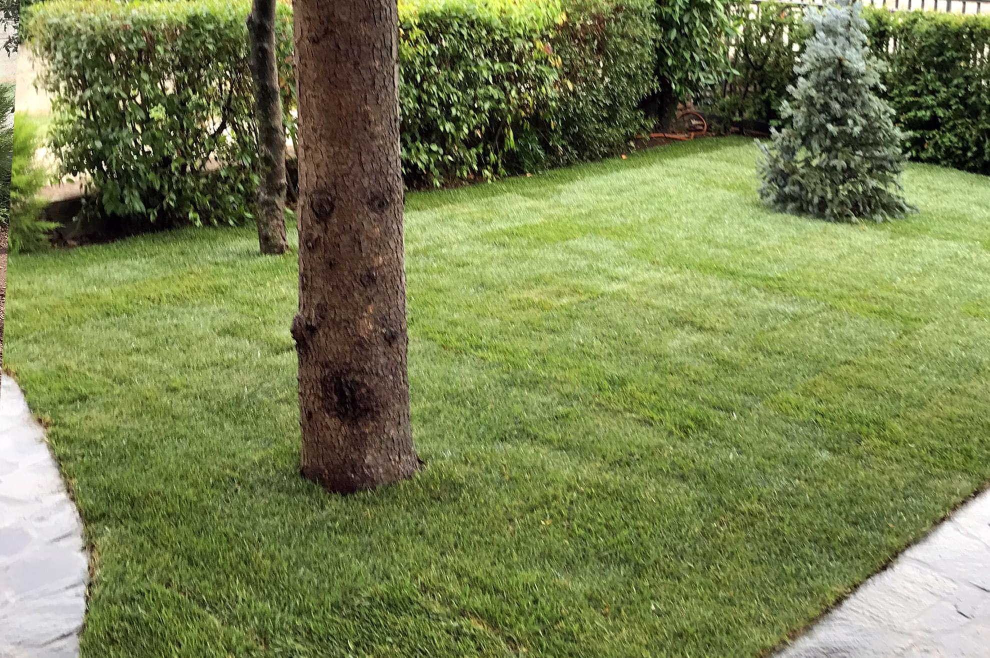 Realizzazione giardini