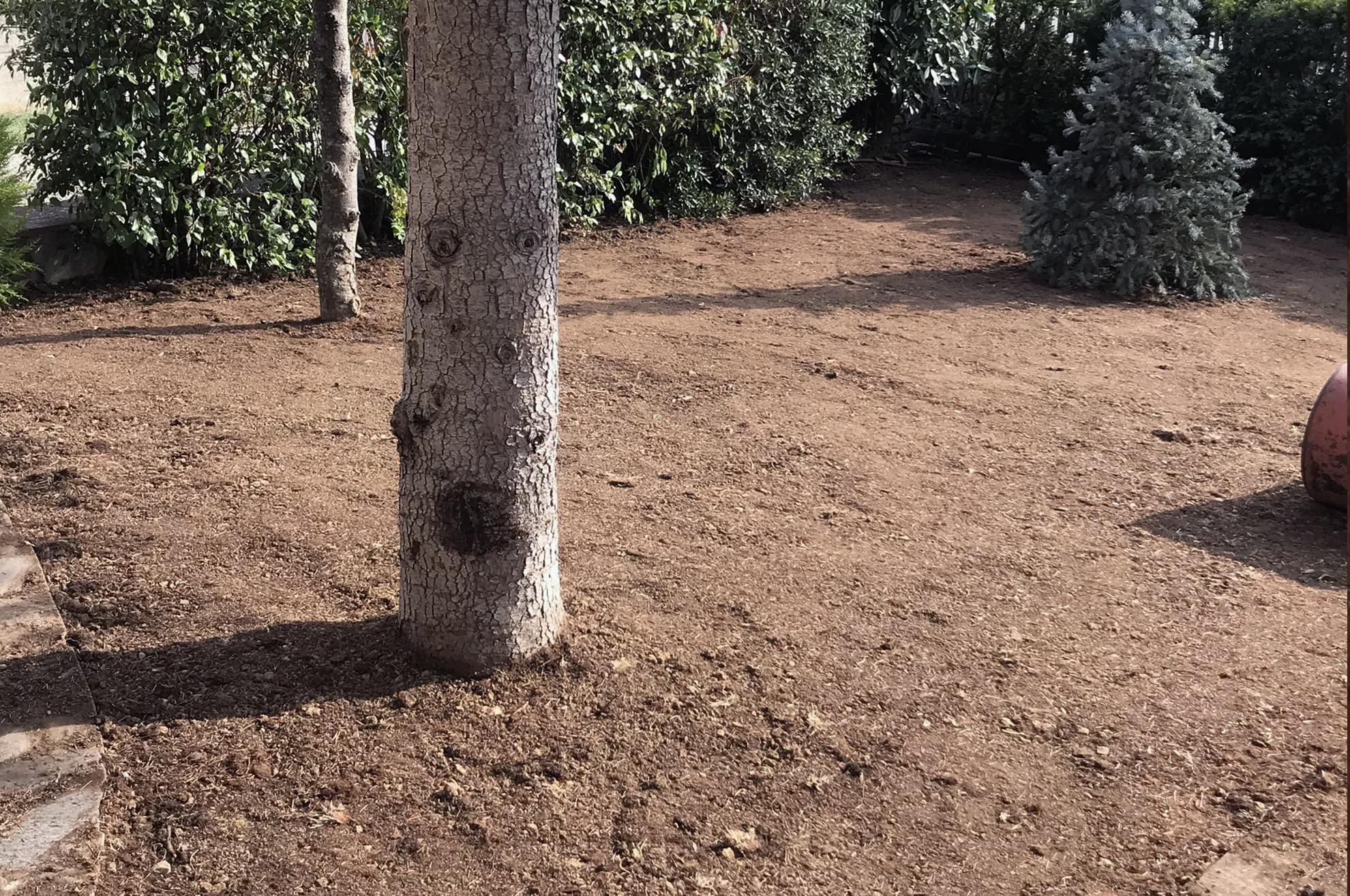 Realizzazione giardini